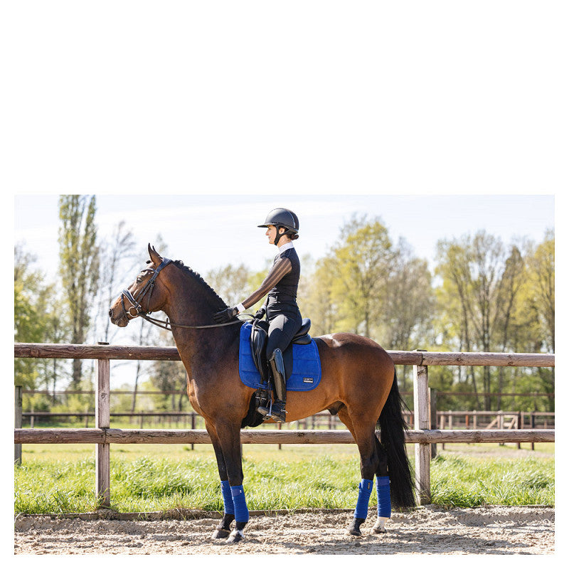 LeMieux ANKY® Bandages ATB001