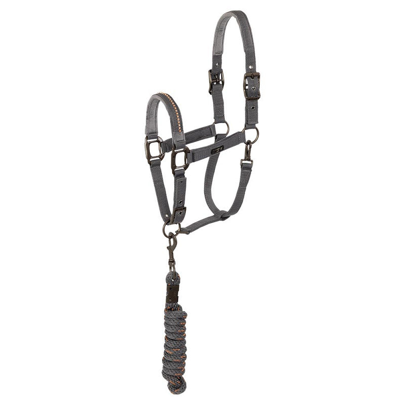 ANKY® halter and Lead stones ATH23001