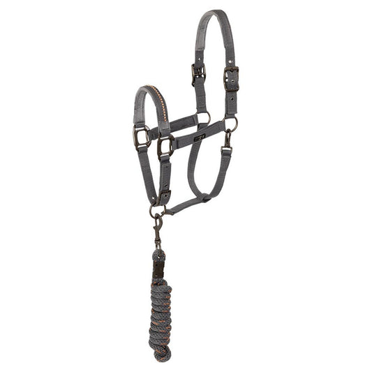 ANKY® halter and Lead stones ATH23001