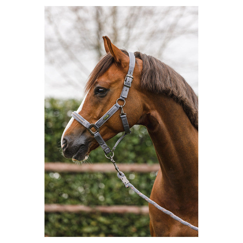 ANKY® halter and Lead stones ATH23001