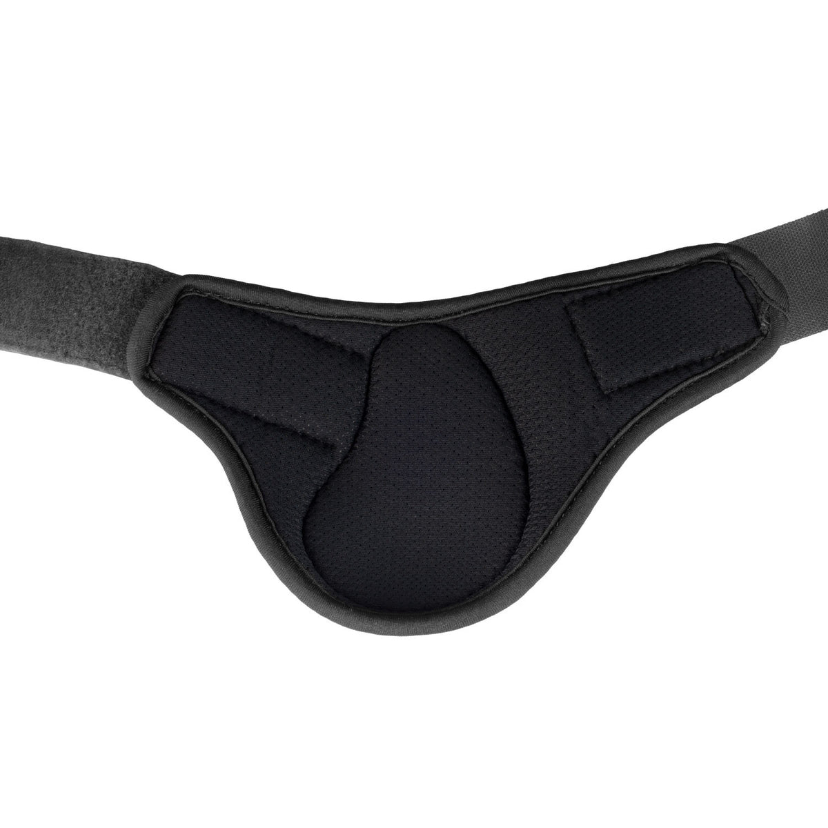 Acavallo Skeleton Dynamic Zone Fetlock