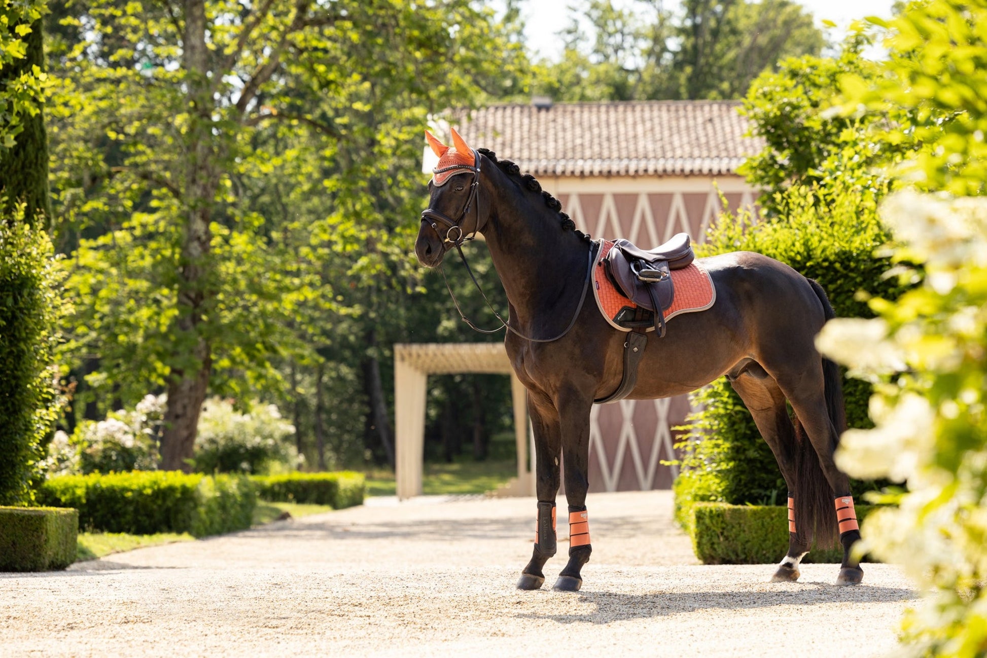 SS24 LM Classique Mocka CC Fyrkantig Aprikos