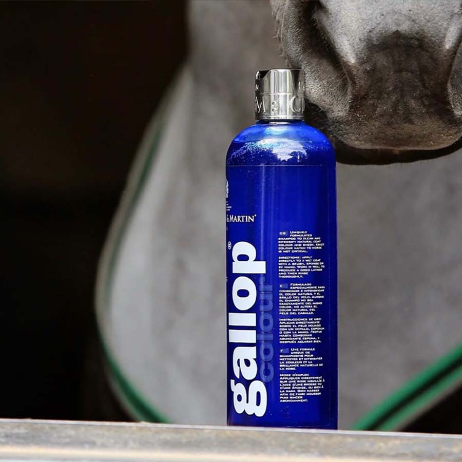 Carr & Day & Martin Schampo Gallop Colour Skimmel 500ml