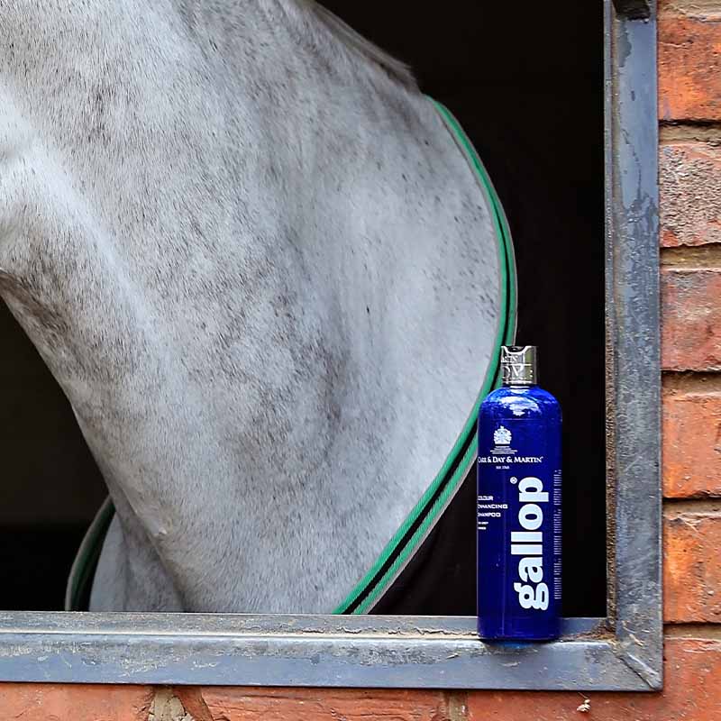 Carr & Day & Martin Schampo Gallop Colour Skimmel 500ml