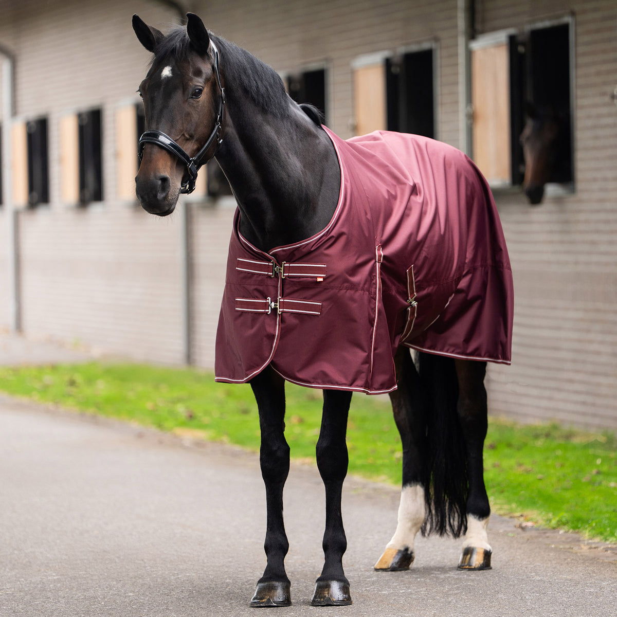 Imperial Riding Utetäcke IRHBasic, 0g med Fleecefoder, Vinröd