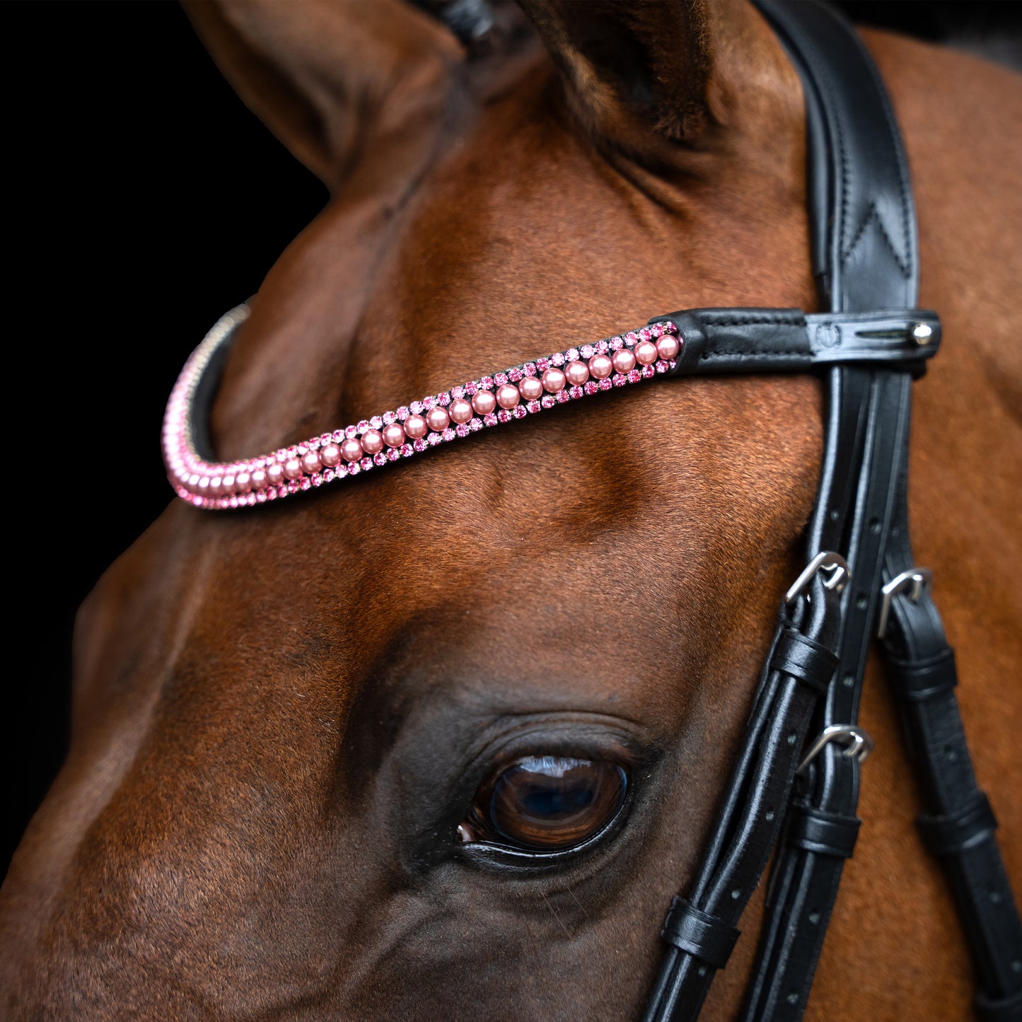 Imperial Riding Pannband IRHBeads