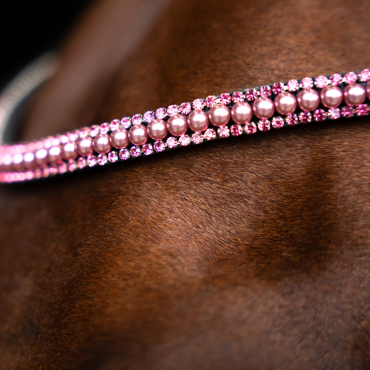 Imperial Riding Pannband IRHBeads