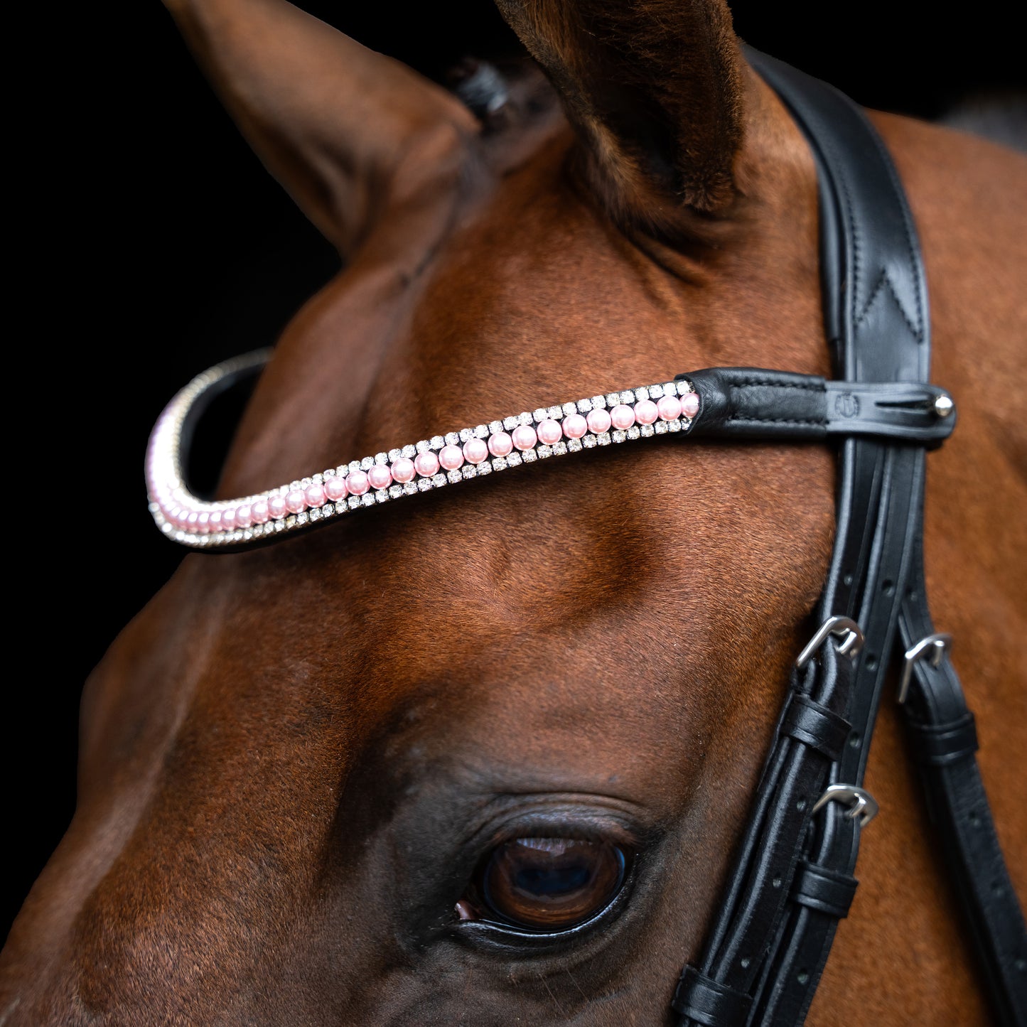 Imperial Riding Pannband IRHBeads