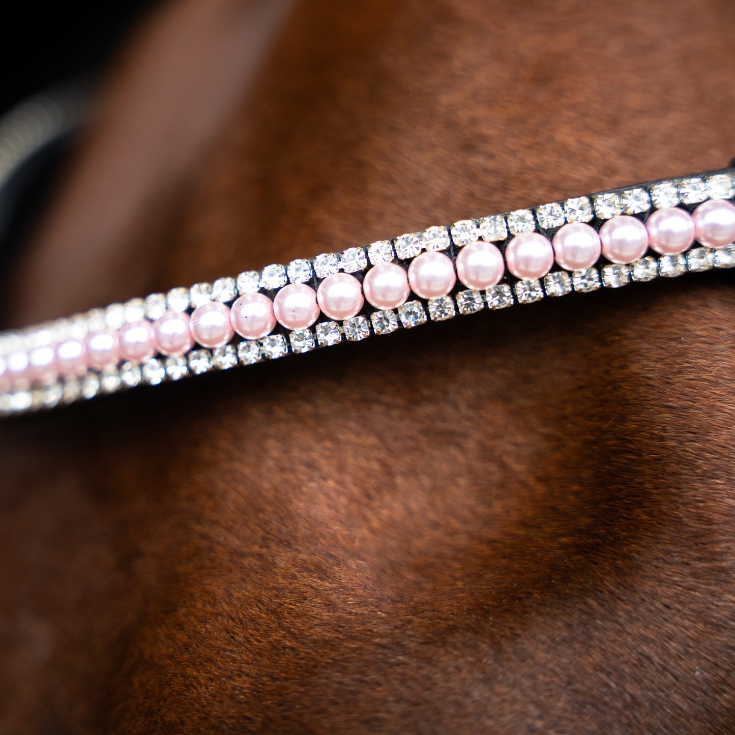Imperial Riding Pannband IRHBeads