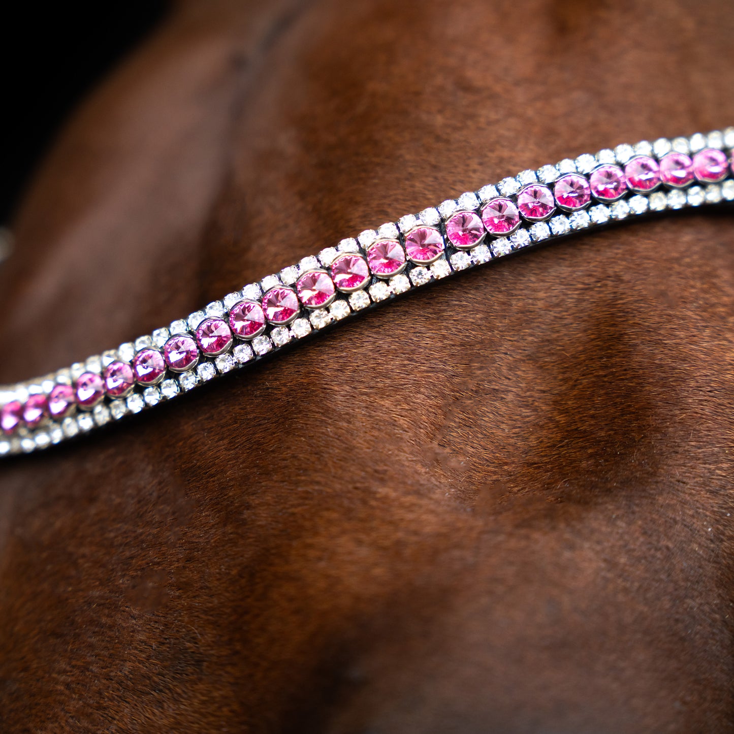 Imperial Riding Pannband IRHBeads
