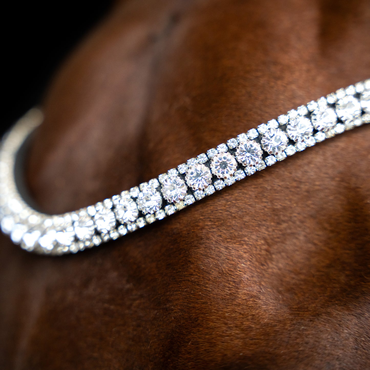 Imperial Riding Pannband IRHSlim