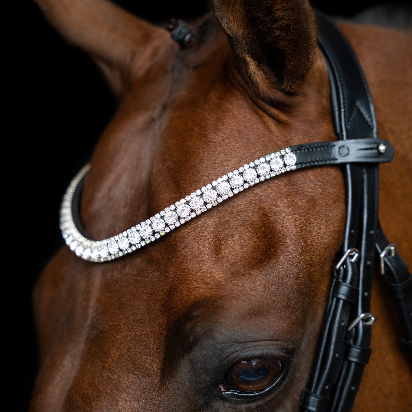 Imperial Riding Pannband IRHSlim