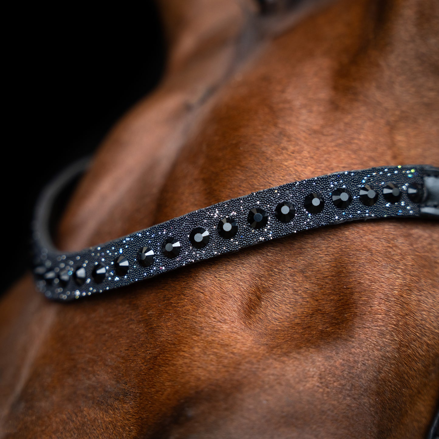 Imperial Riding Pannband IRHSlim