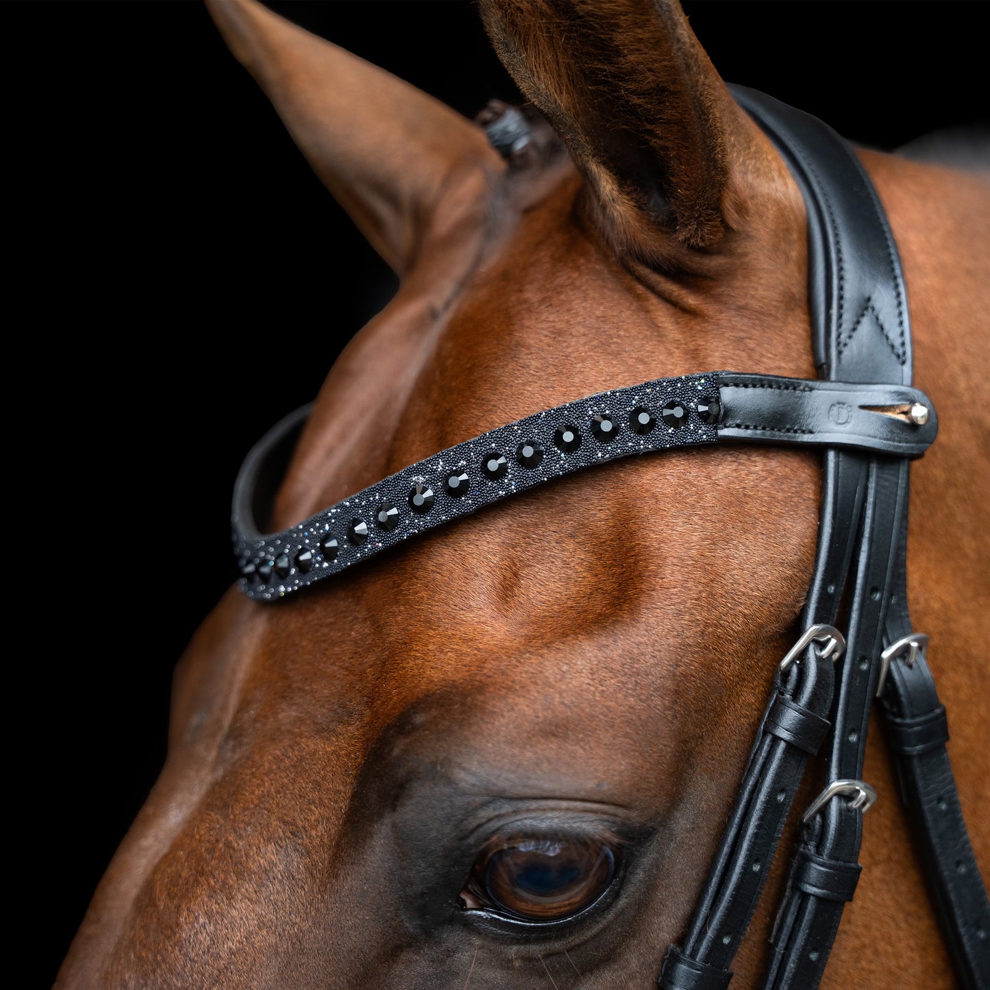 Imperial Riding Pannband IRHSlim
