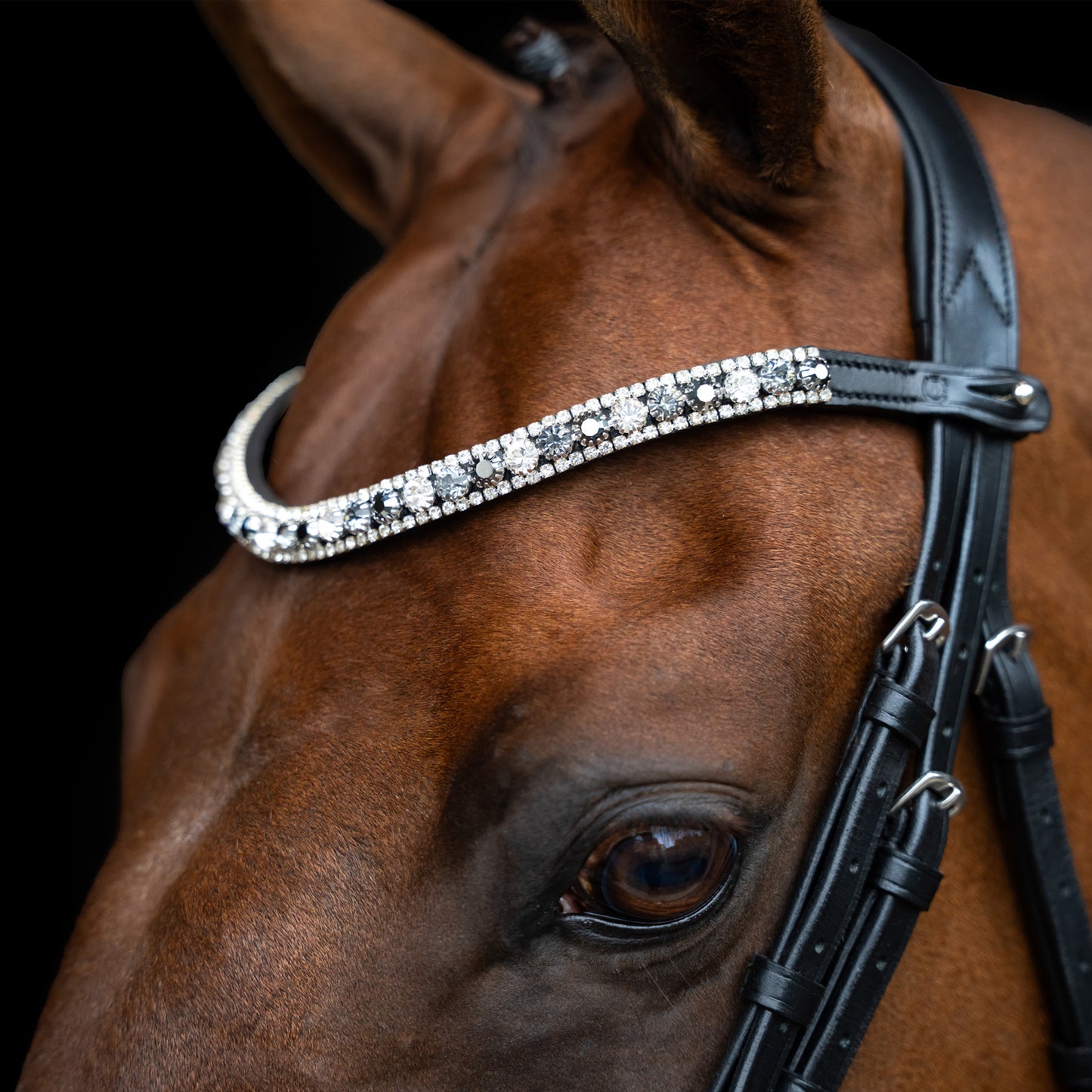 Imperial Riding Pannband IRHSlim