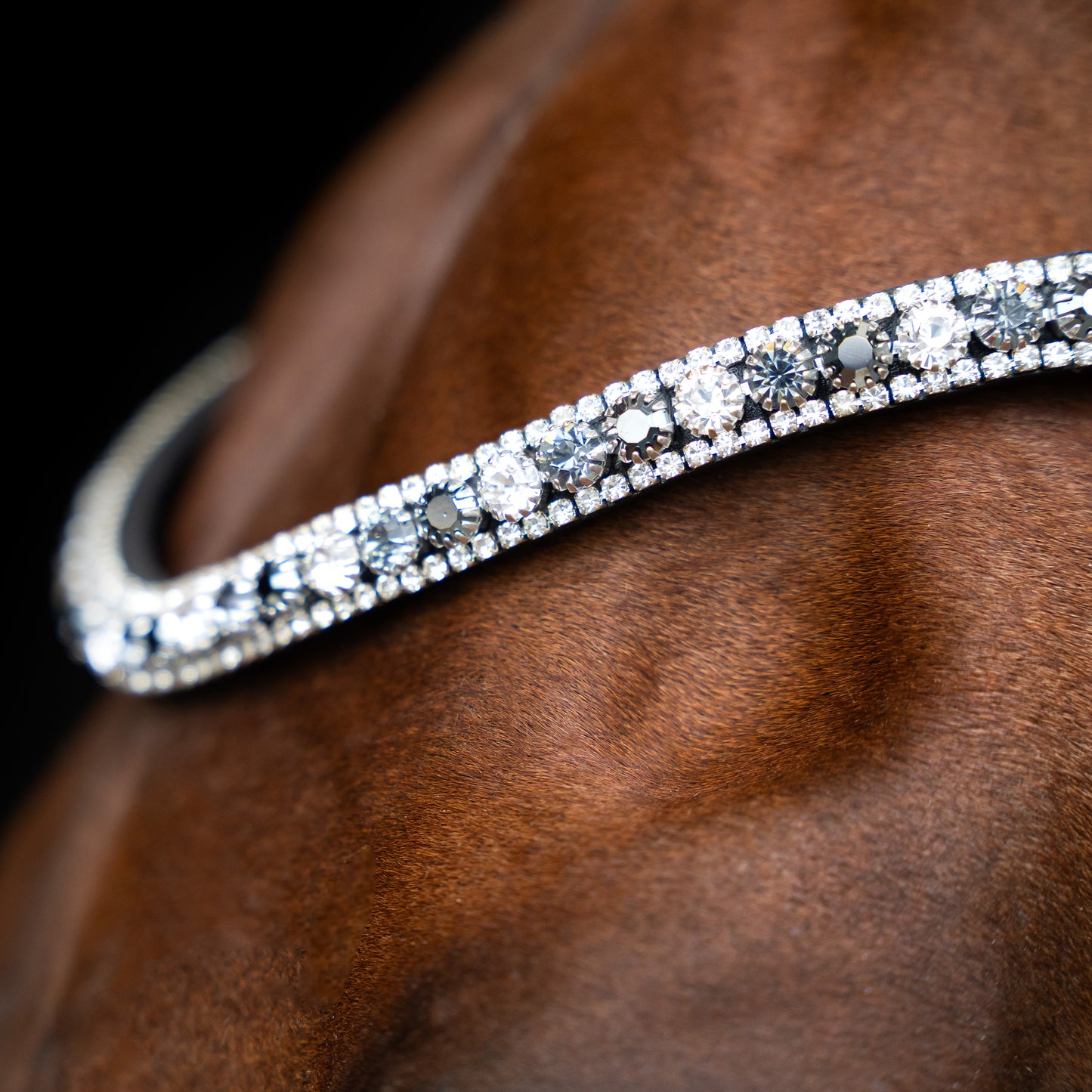 Imperial Riding Pannband IRHSlim