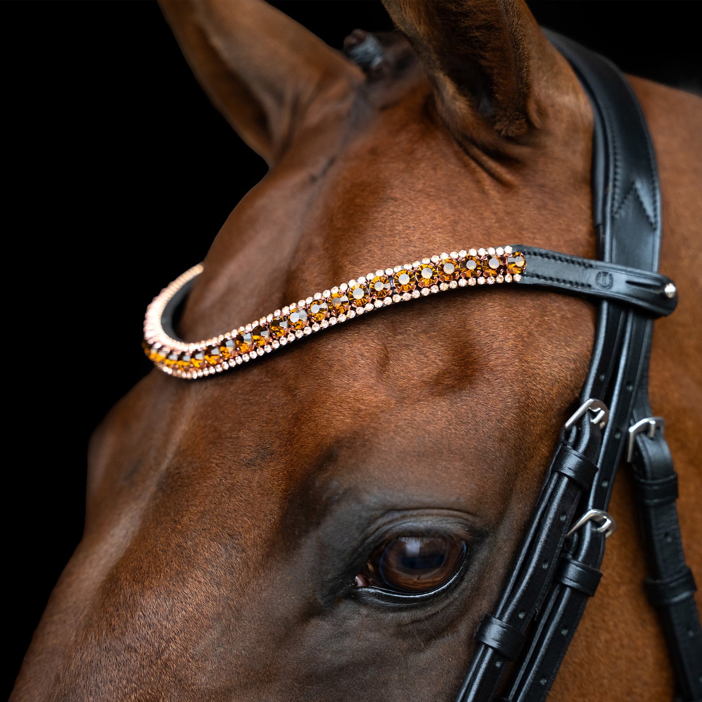 Imperial Riding Pannband IRHGrande