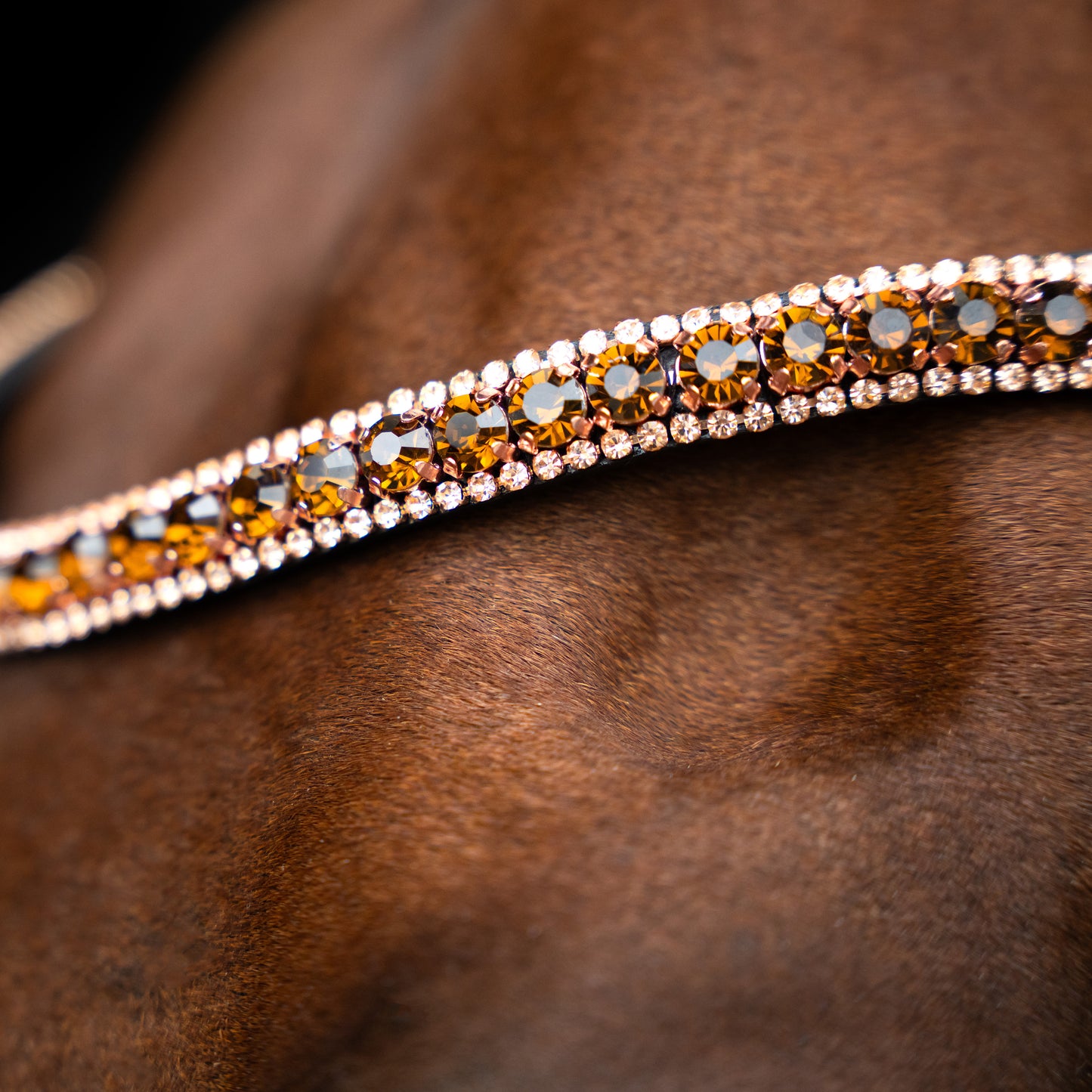 Imperial Riding Pannband IRHGrande