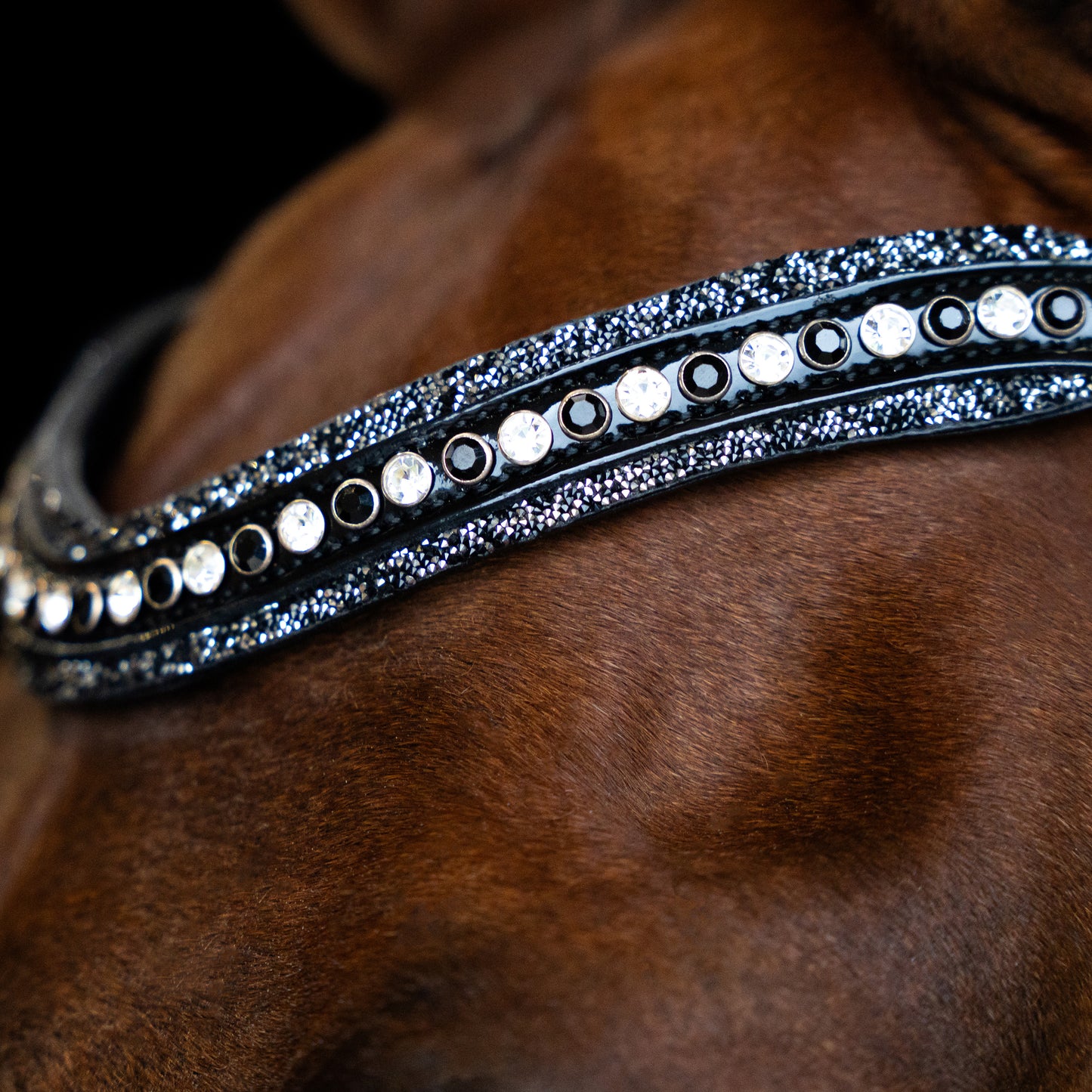Imperial Riding Pannband IRHMaxima 2