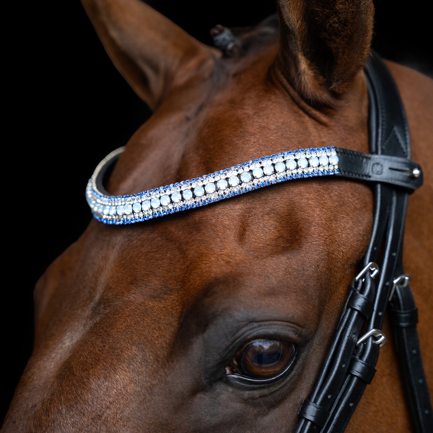 Imperial Riding Pannband IRHMaxima 2
