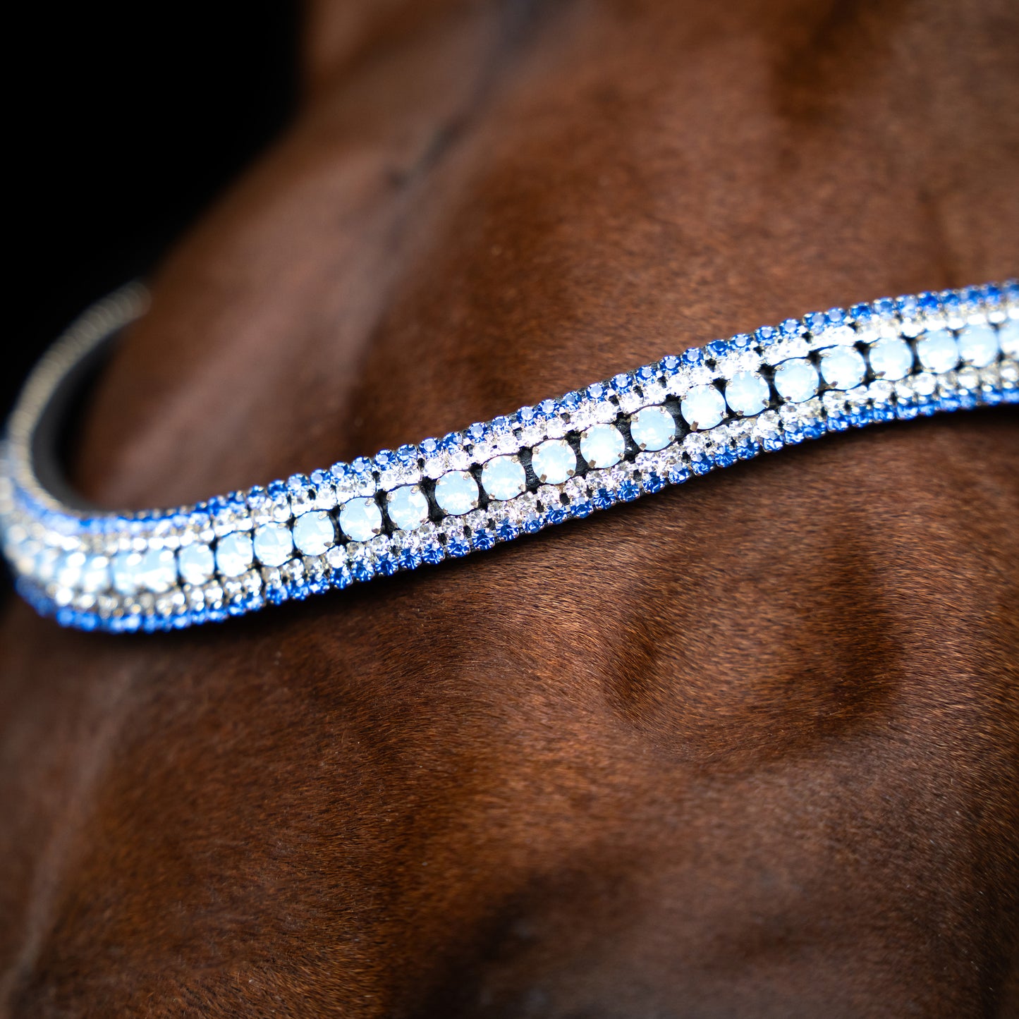 Imperial Riding Pannband IRHMaxima 2