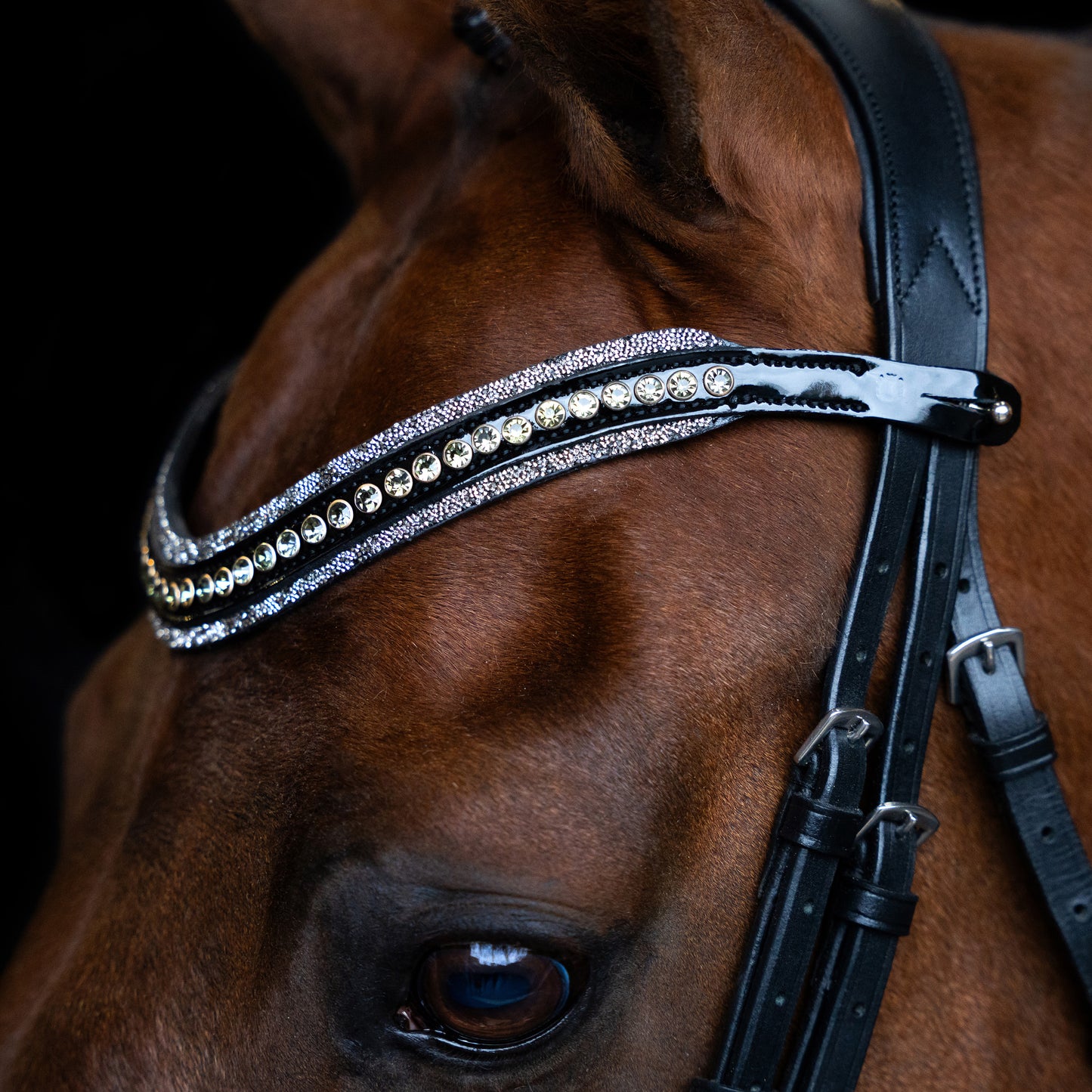 Imperial Riding Pannband IRHMaxima 2