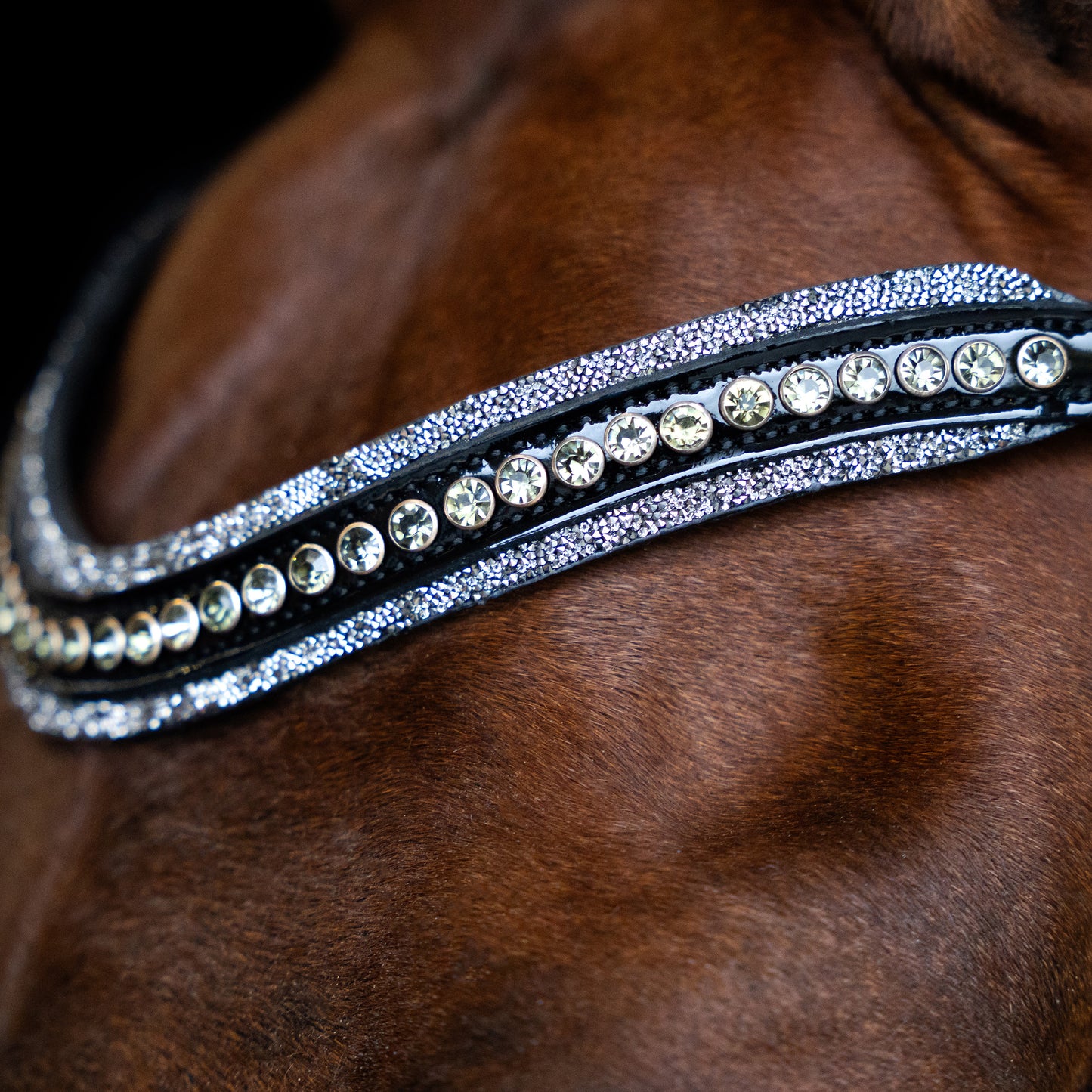 Imperial Riding Pannband IRHMaxima 2