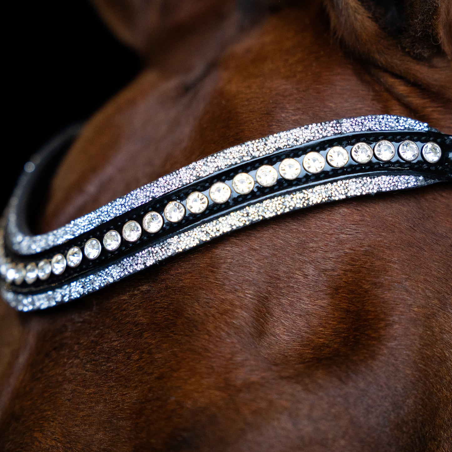Imperial Riding Pannband IRHMaxima 2