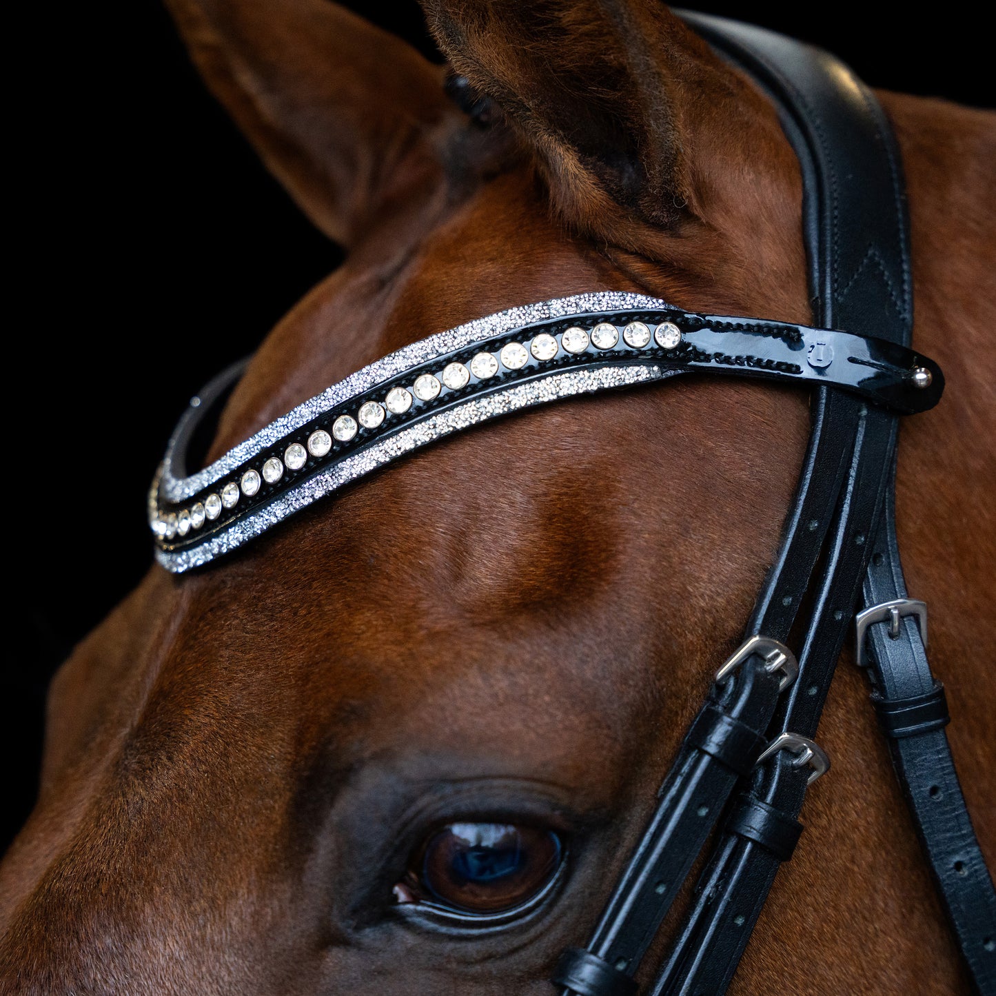 Imperial Riding Pannband IRHMaxima 2
