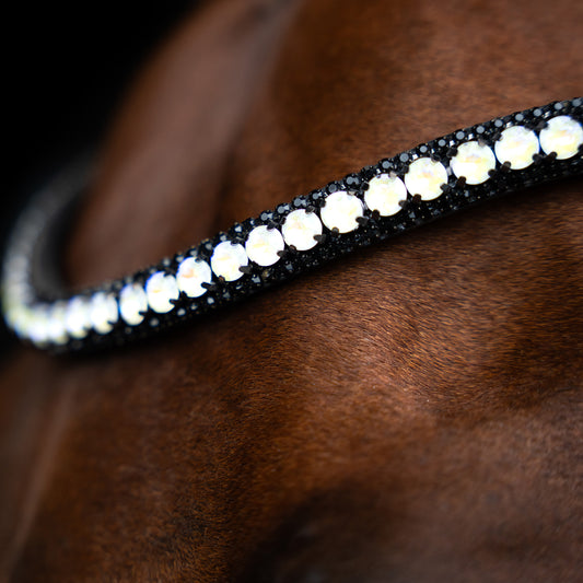 Imperial Riding Pannband IRHMaxima 1