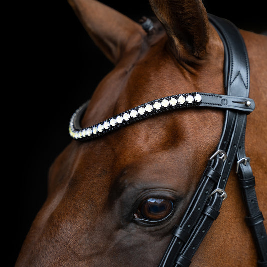 Imperial Riding Pannband IRHMaxima 1
