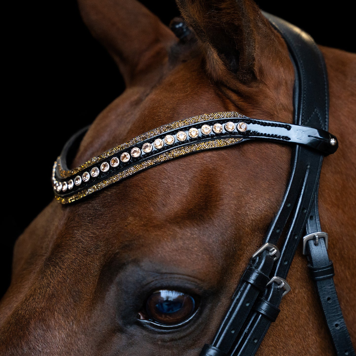 Imperial Riding Pannband IRHMaxima 2