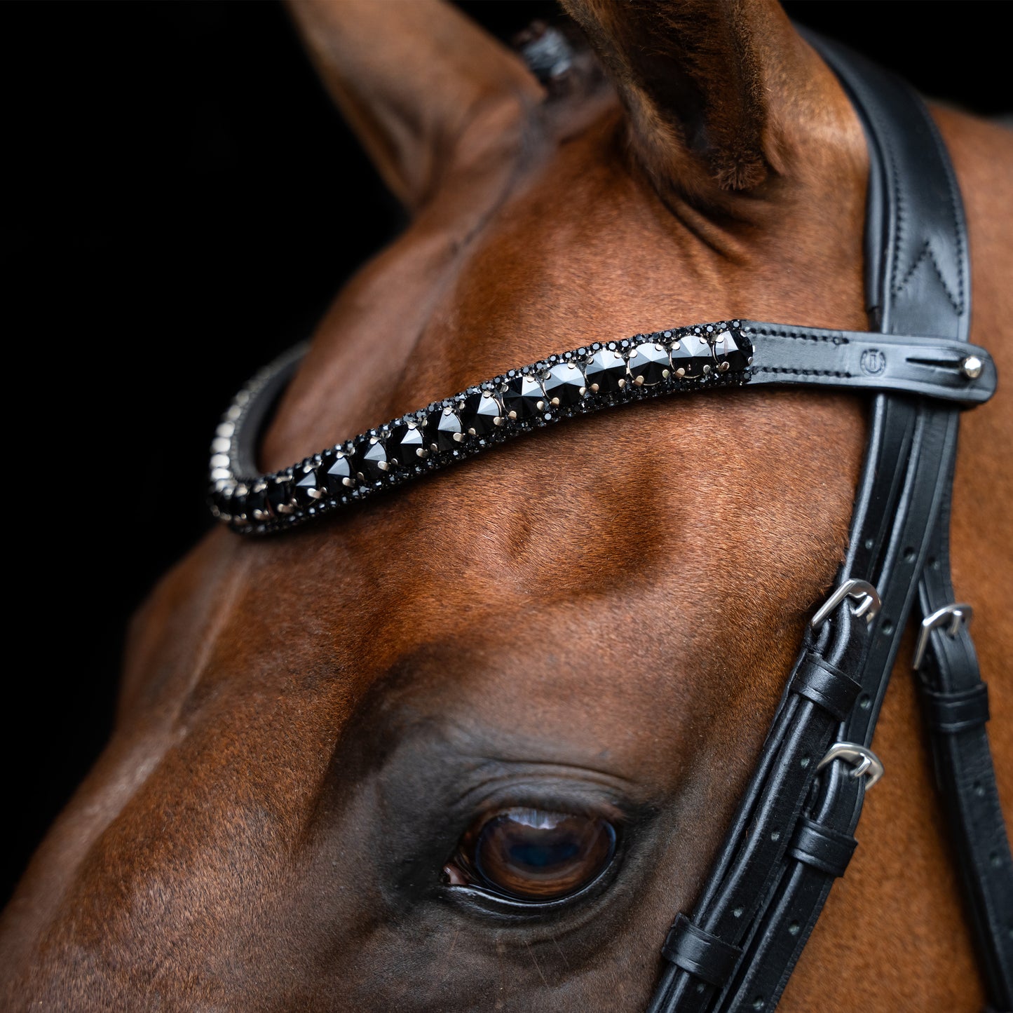 Imperial Riding Pannband IRHMaxima 1