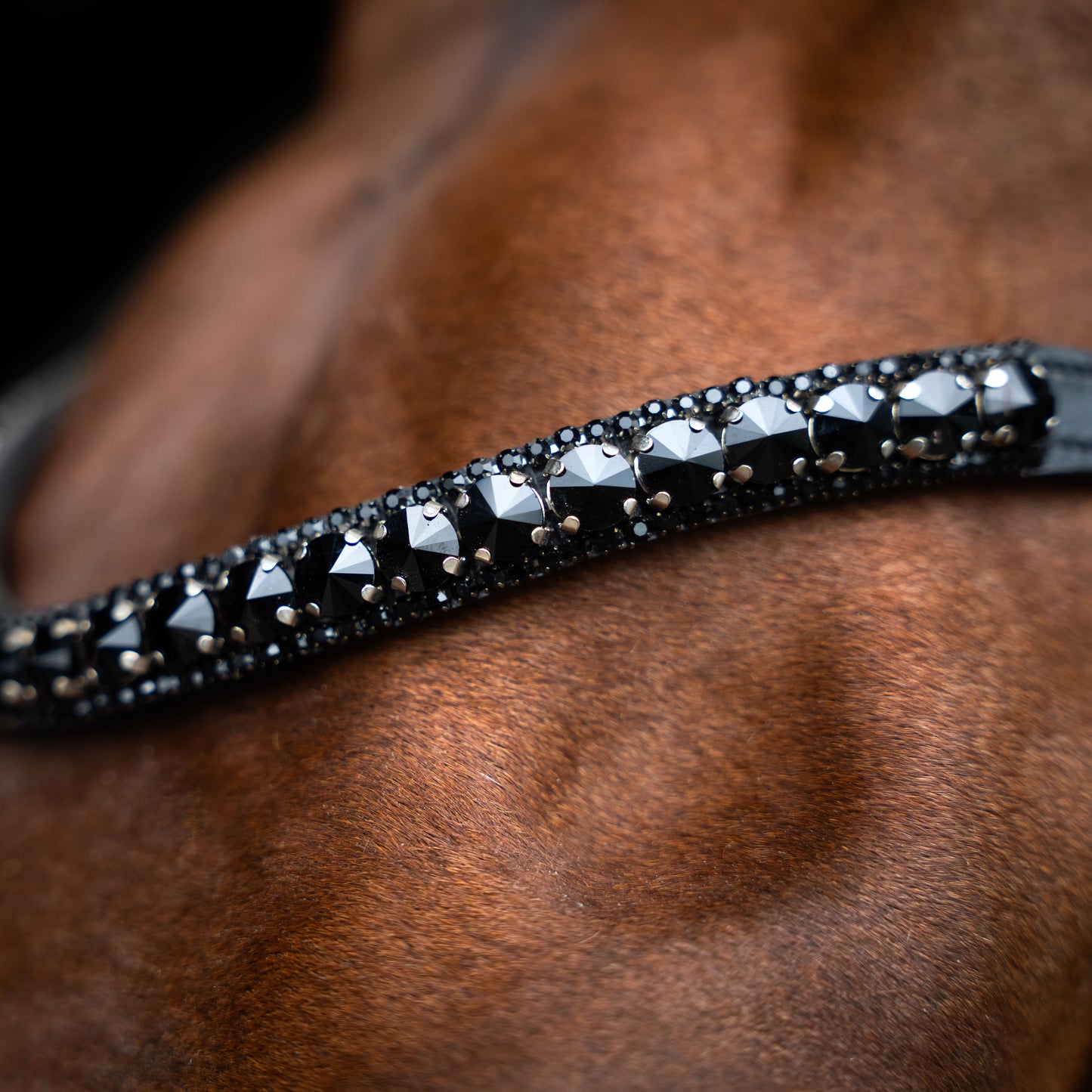 Imperial Riding Pannband IRHMaxima 1