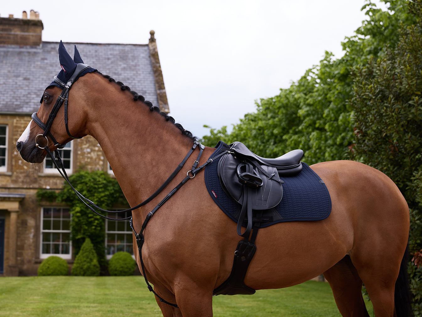 SS25 Essence Eurojump Square Navy