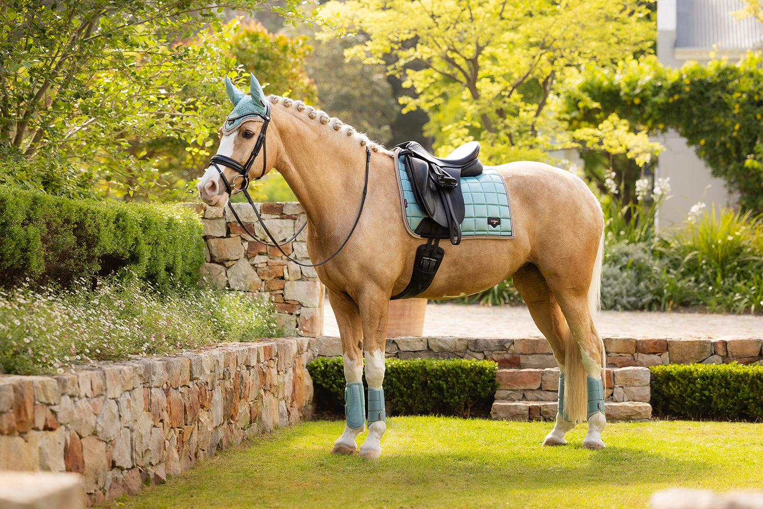 SS25 Loire Classic Dressyr Square Aqua