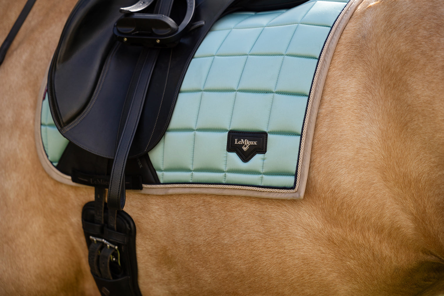 SS25 Loire Classic Dressyr Square Aqua