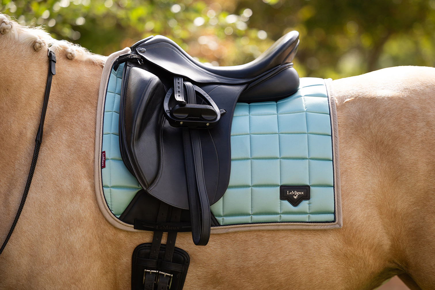 SS25 Loire Classic Dressyr Square Aqua