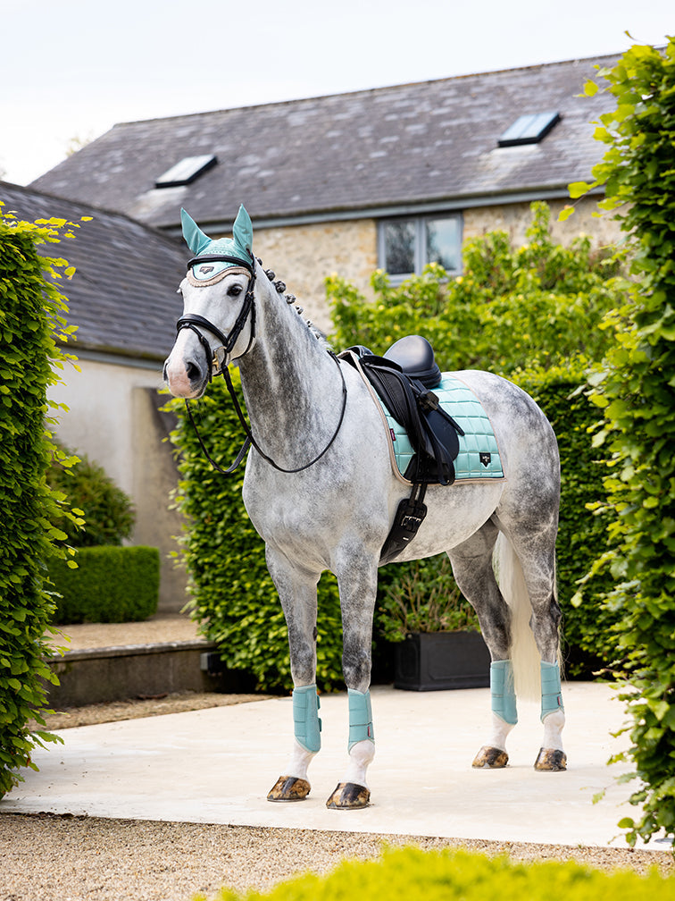SS25 Loire Classic Dressyr Square Aqua