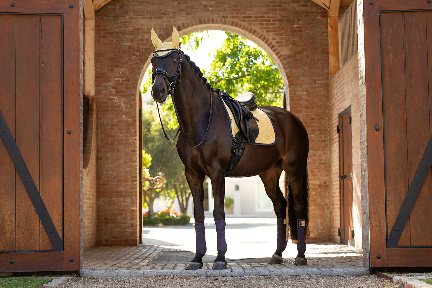 SS25 Suede Dressage Square Mimosa