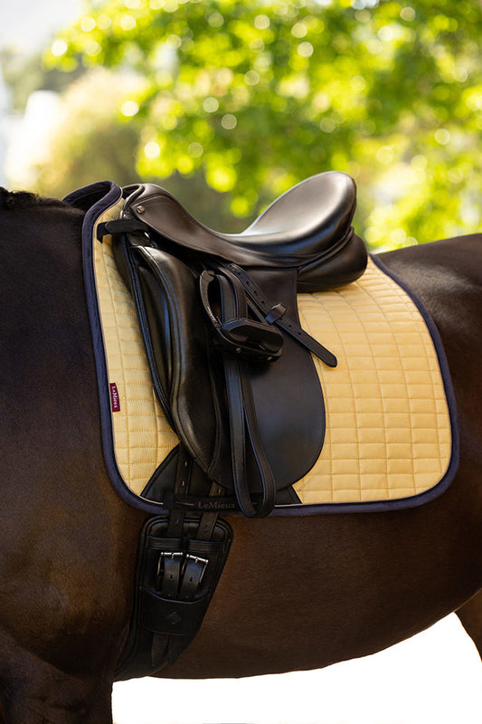 SS25 Suede Dressage Square Mimosa