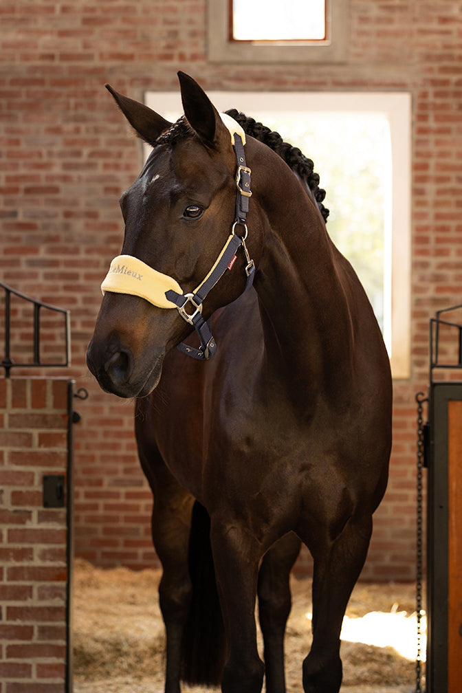 SS25 Vogue Grimma & Grimskaft Mimosa