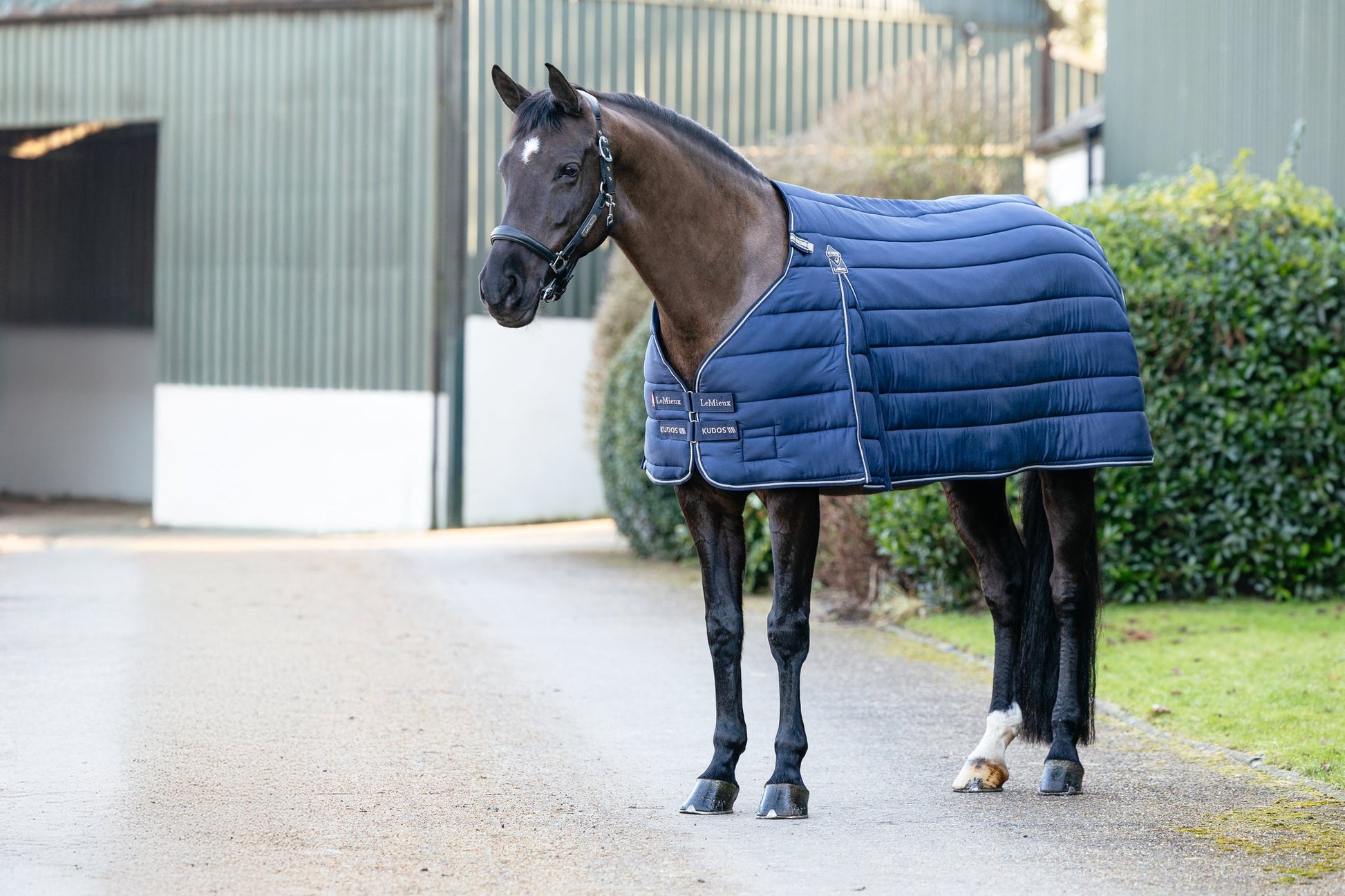 AW25 LM Kudos Rug Liner 100g Marinblå