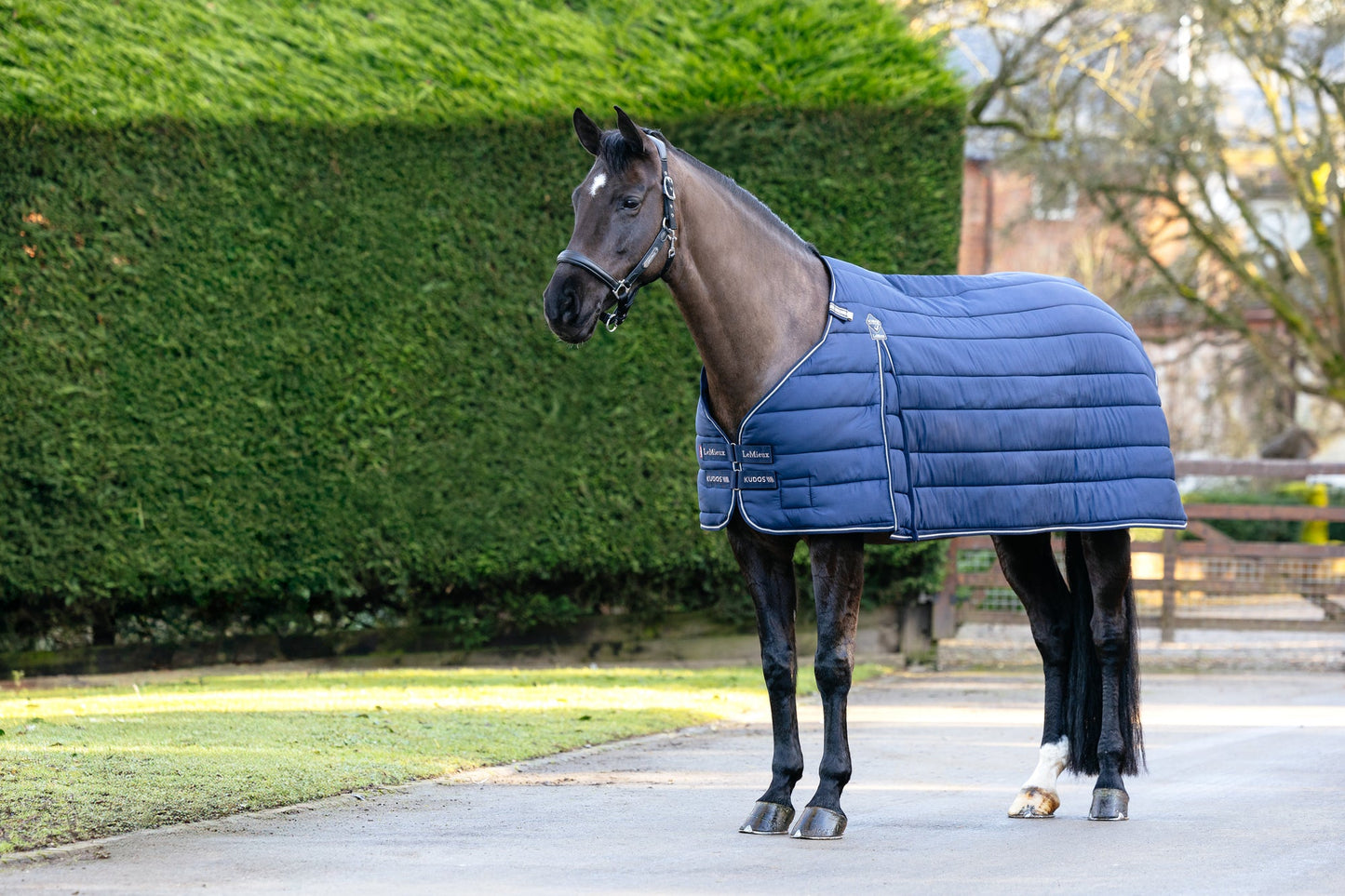 AW25 LM Kudos Rug Liner 100g Marinblå