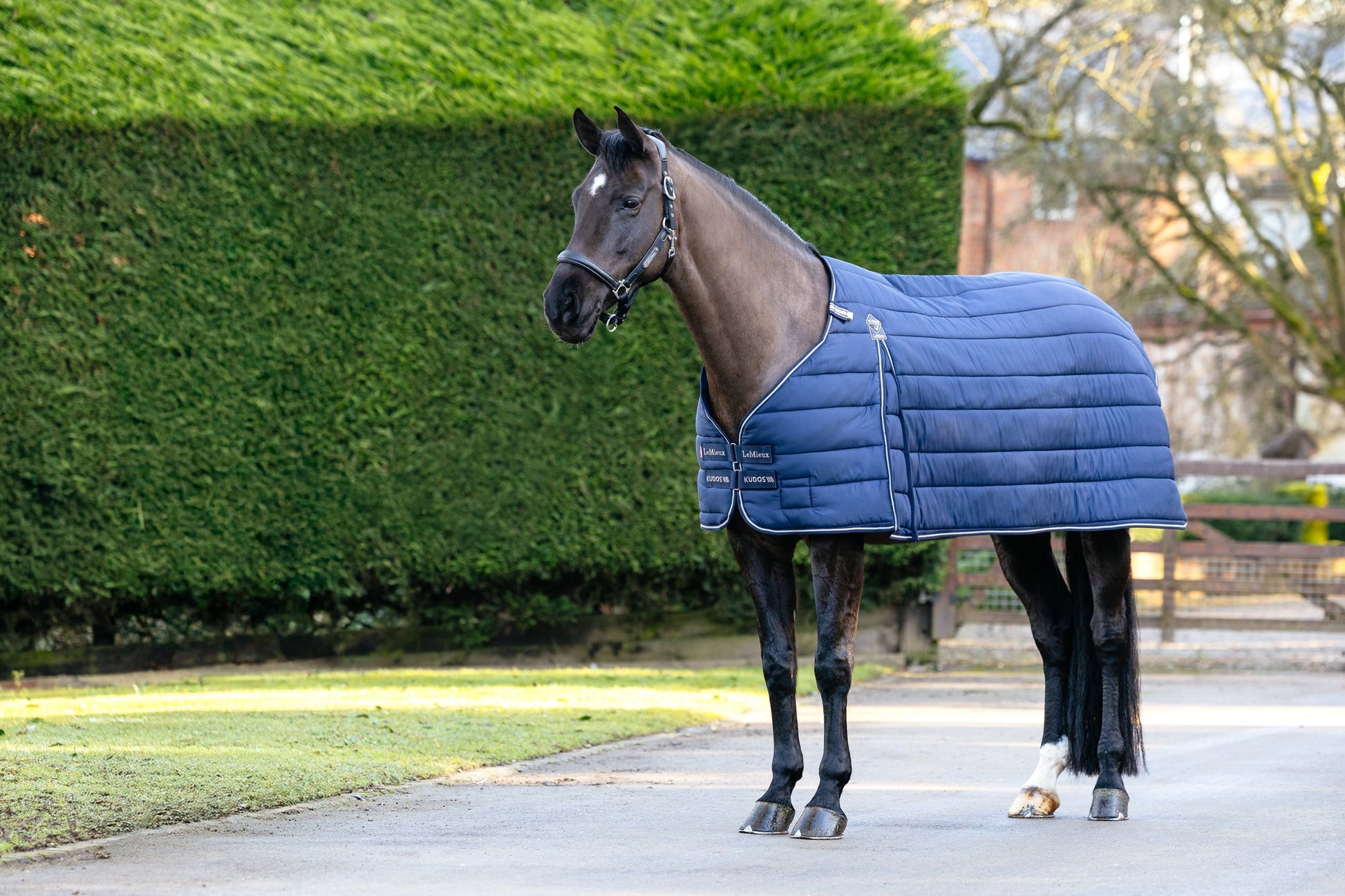 AW25 LM Kudos Rug Liner 100g Marinblå
