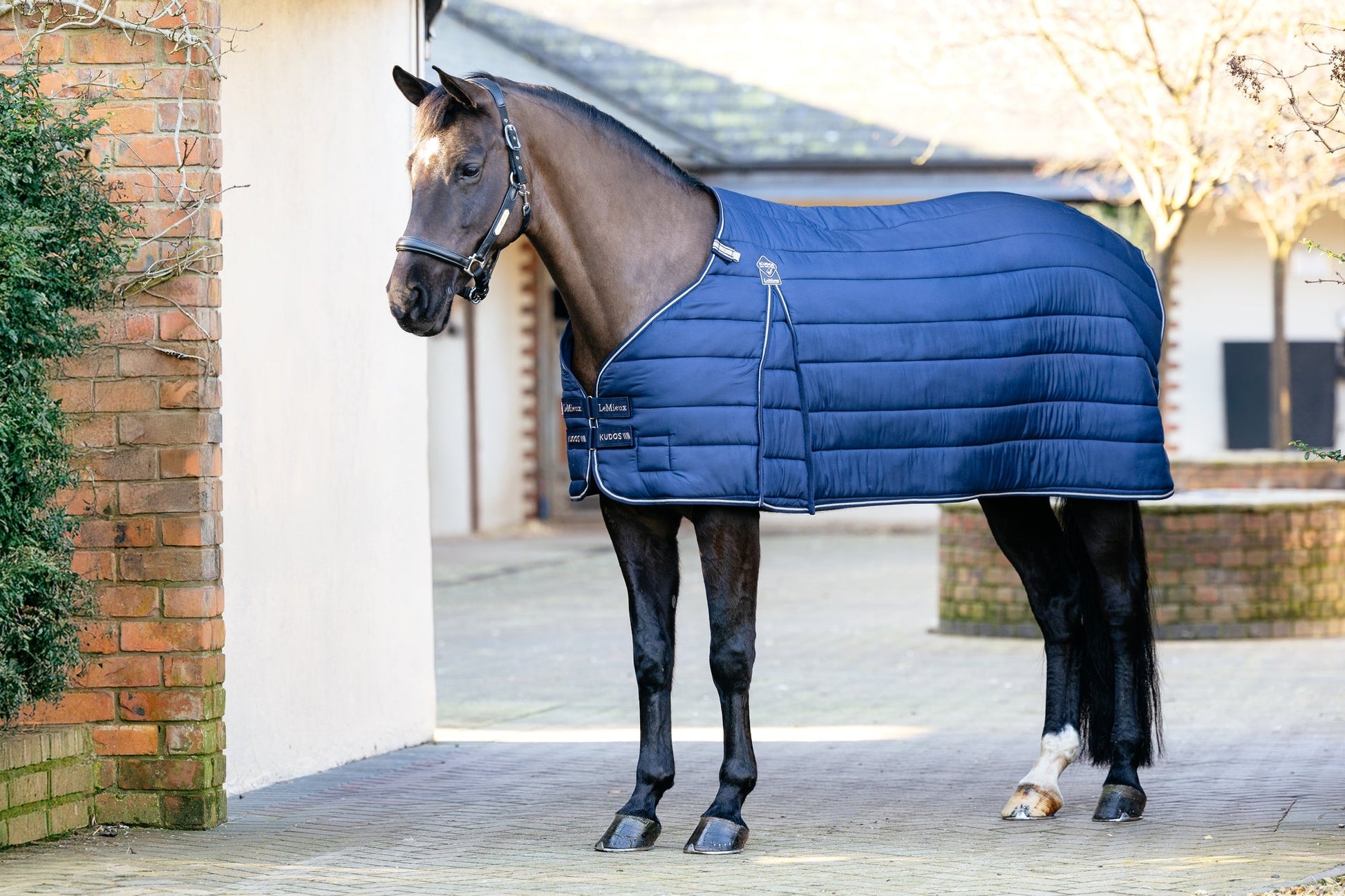 AW25 LM Kudos Rug Liner 100g Marinblå