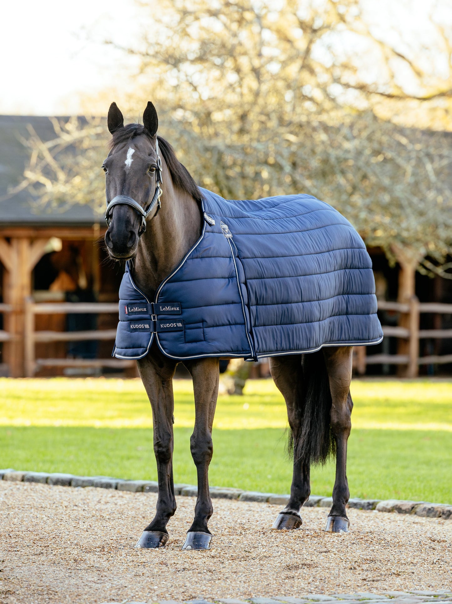 AW25 LM Kudos Rug Liner 100g Marinblå