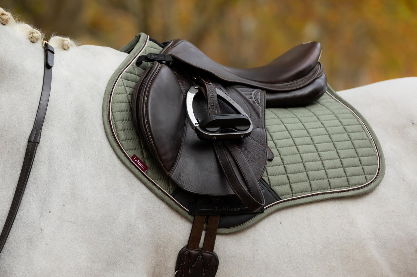 AW25 LM Mocka Närkontakt Fyrkantig Rosmarin