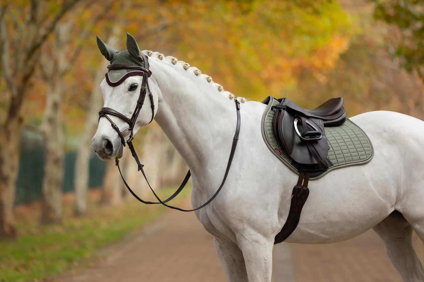 AW25 LM Mocka Närkontakt Fyrkantig Rosmarin