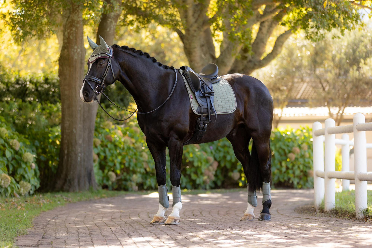 AW25 LM Suede Dressage Square Rosemary